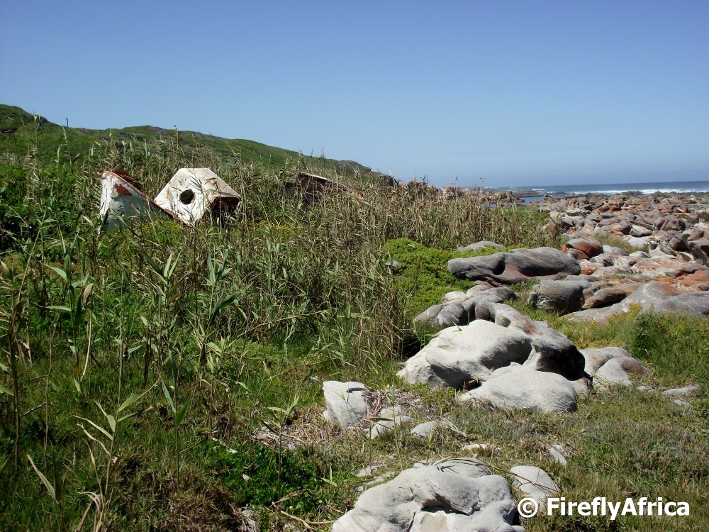 Read more about the article The remains of the Oceanos lifeboat at Schoenmakerskop