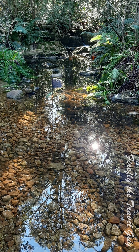 Reflecting stream in the Tsitsikamma forest