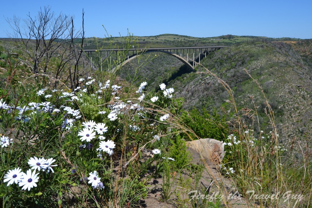 Van Stadens Bridge and Van Stadens Wildflower reserve