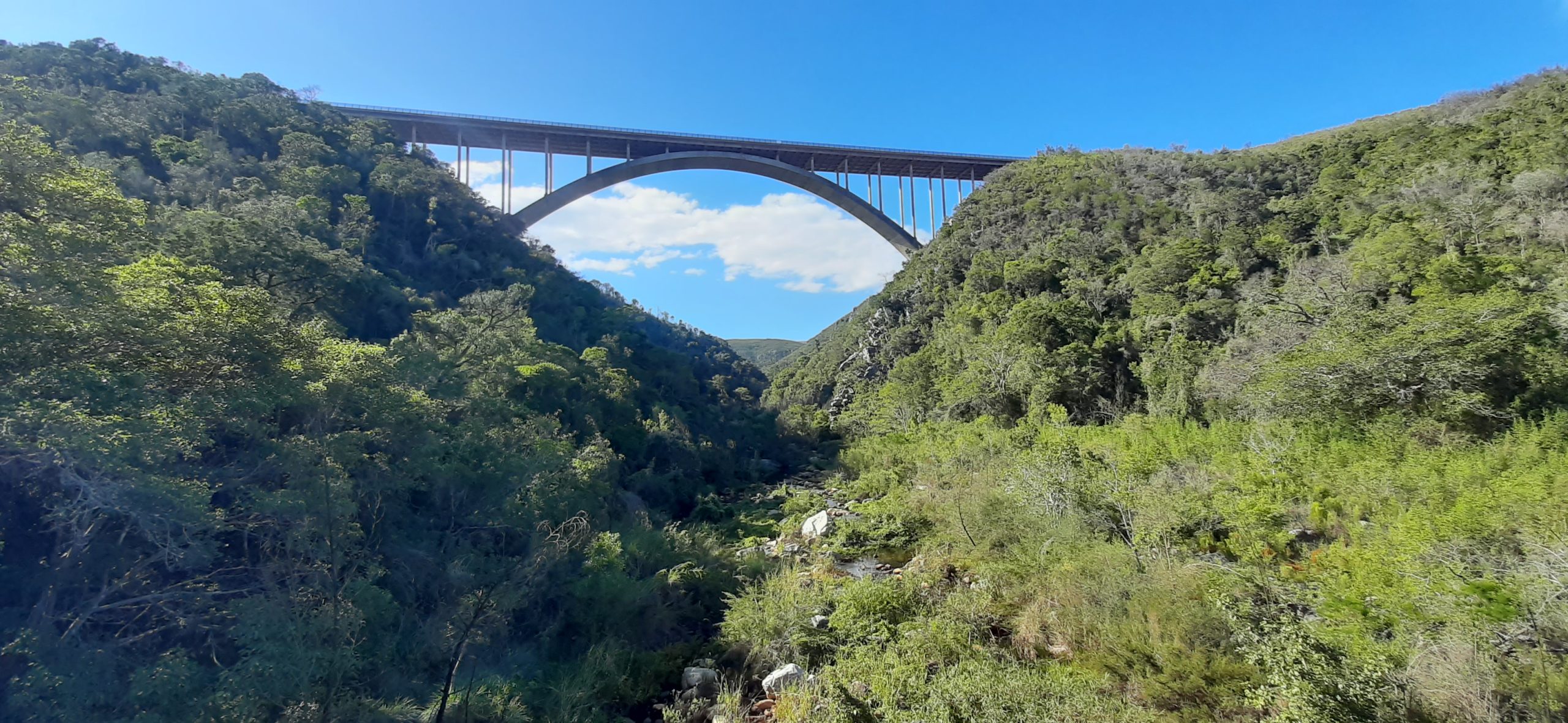 Read more about the article The Van Staden’s River gorge road bridges