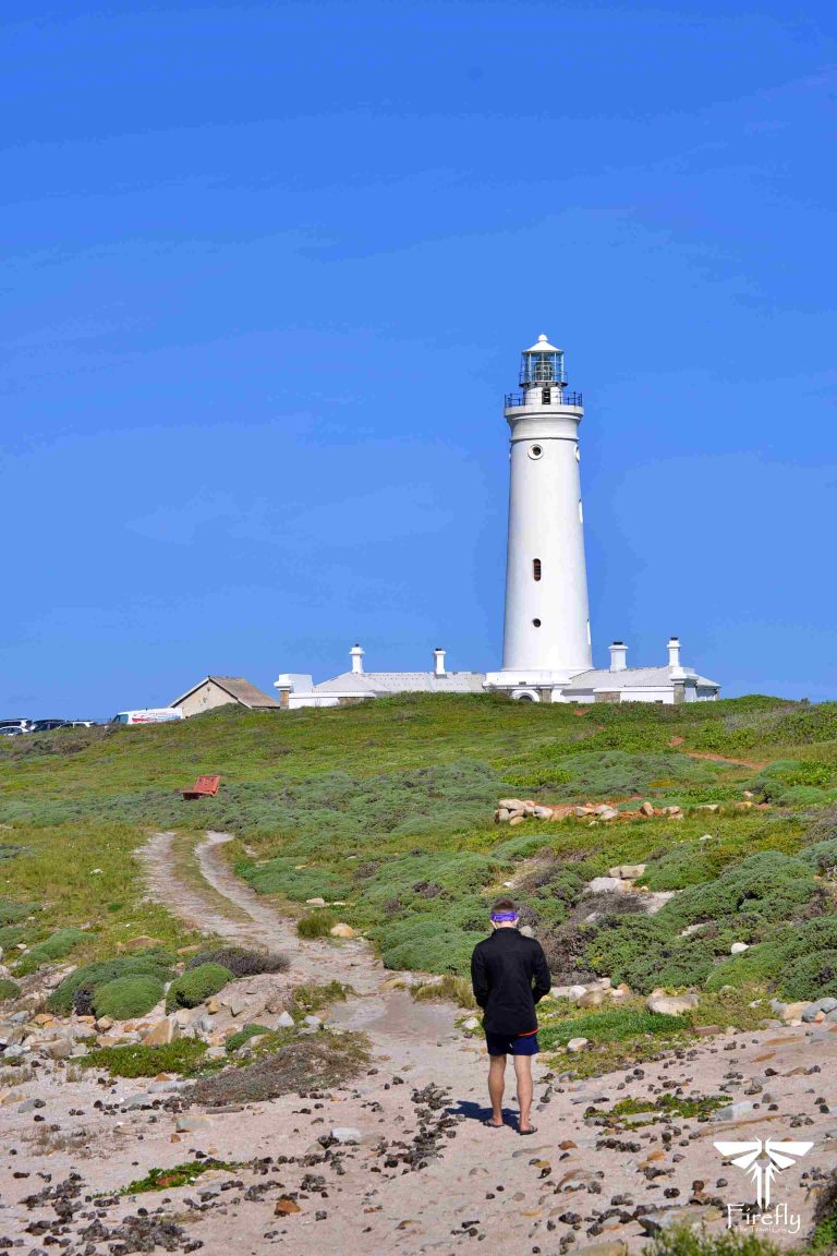 Read more about the article Walking at the lighthouse