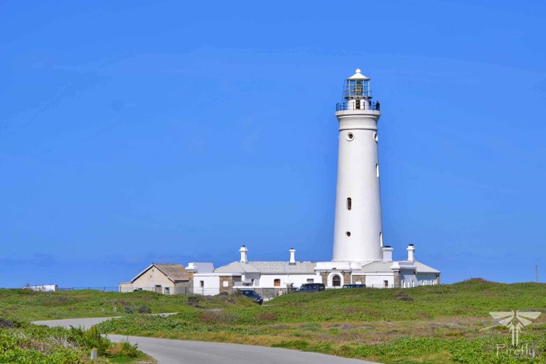 Read more about the article The Cape St Francis Lighthouse