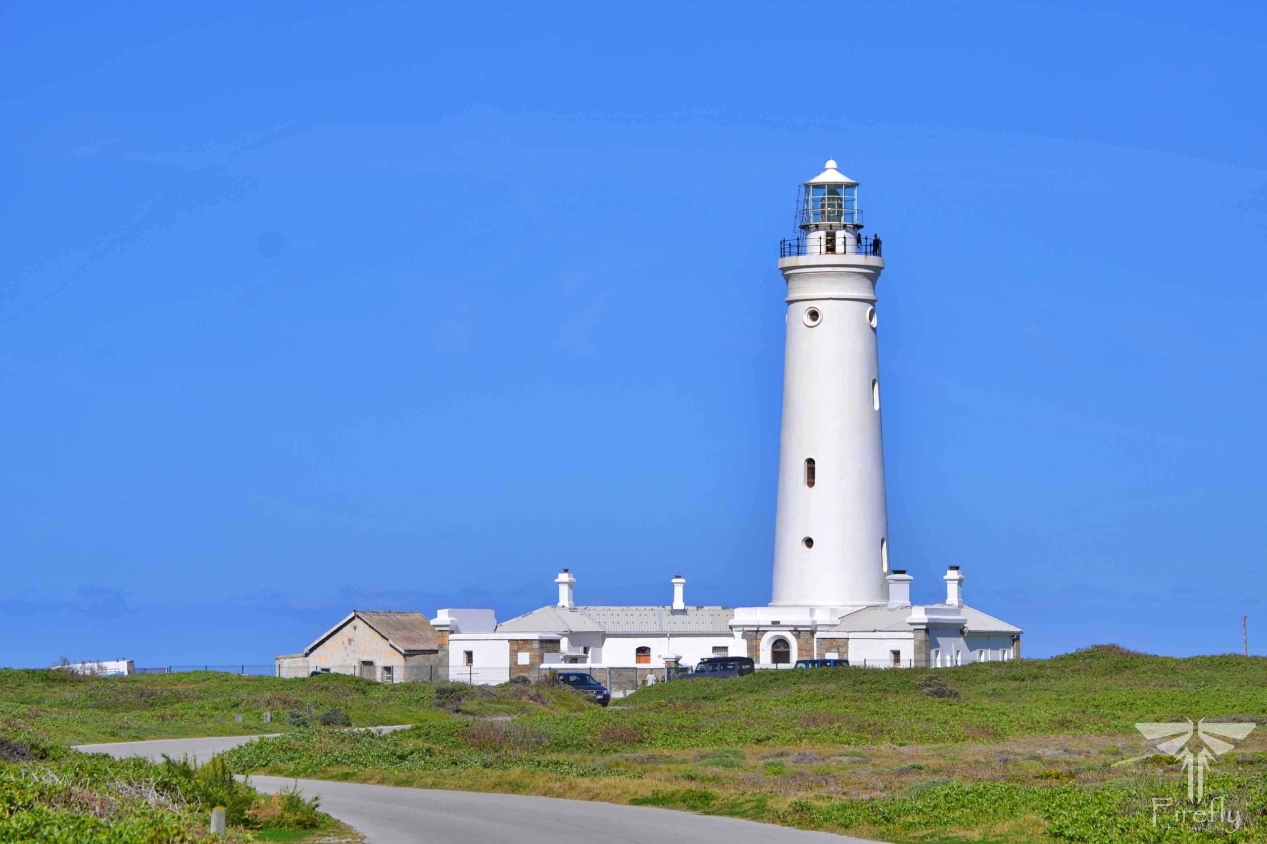 You are currently viewing The Cape St Francis Lighthouse