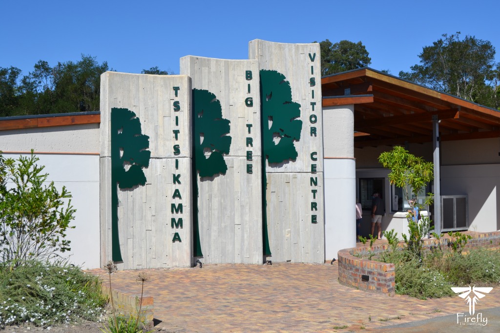 The Tsitsikamma Big Tree visitor center, Garden Route attractions