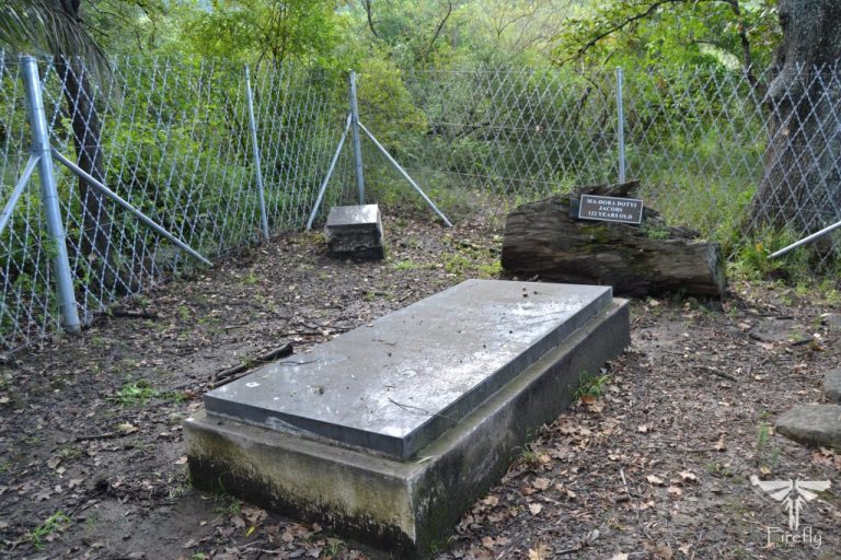 Read more about the article The grave of Ouma Dora Jacobs in Somerset East