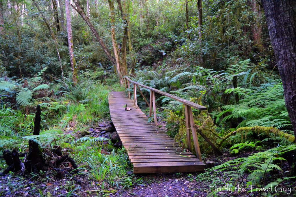 Goesa Trail at Storms River Village in the Tsitsikamma