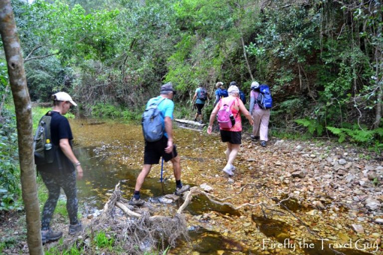 Read more about the article Groendal Nature Reserve – Fernkloof Trail